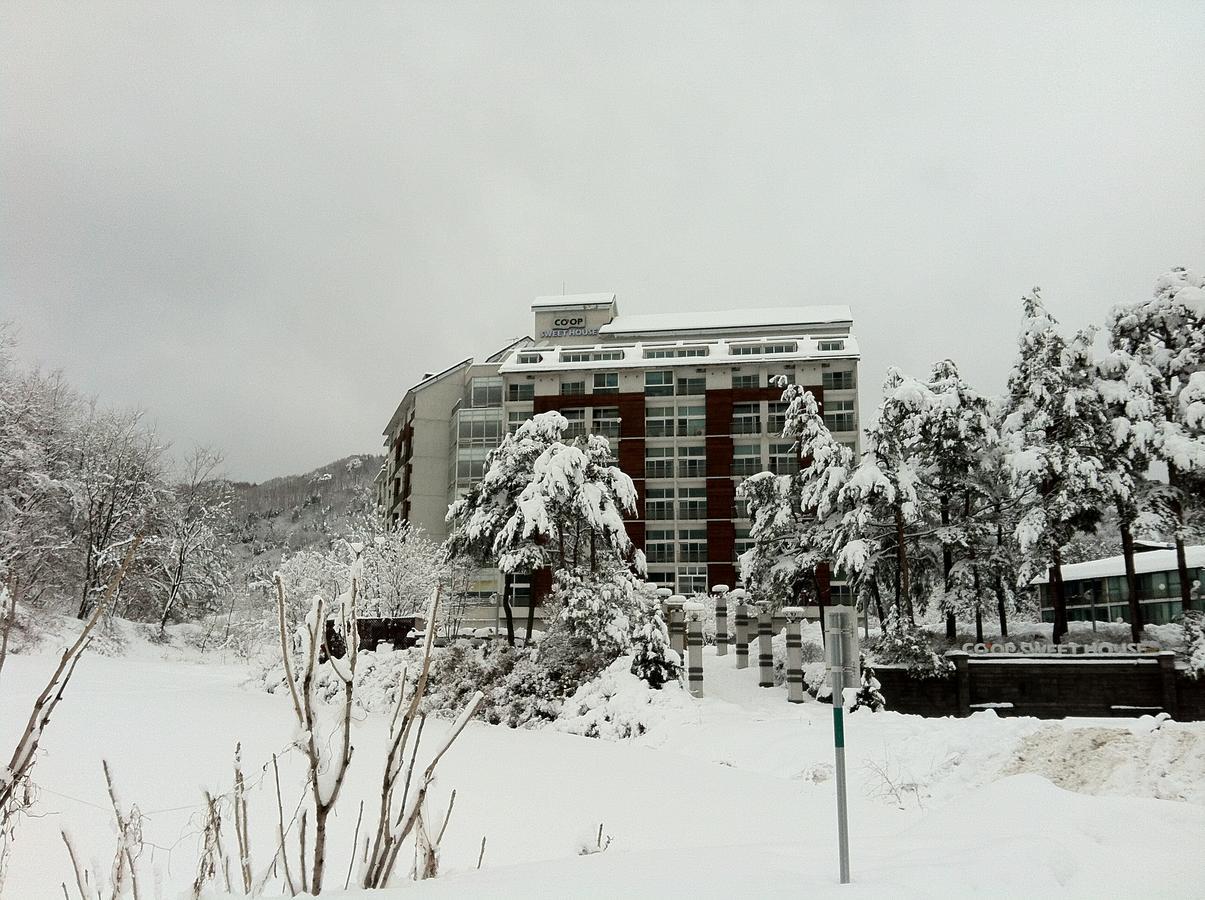 Hotel Coop Sweet House Pyeongchang Extérieur photo